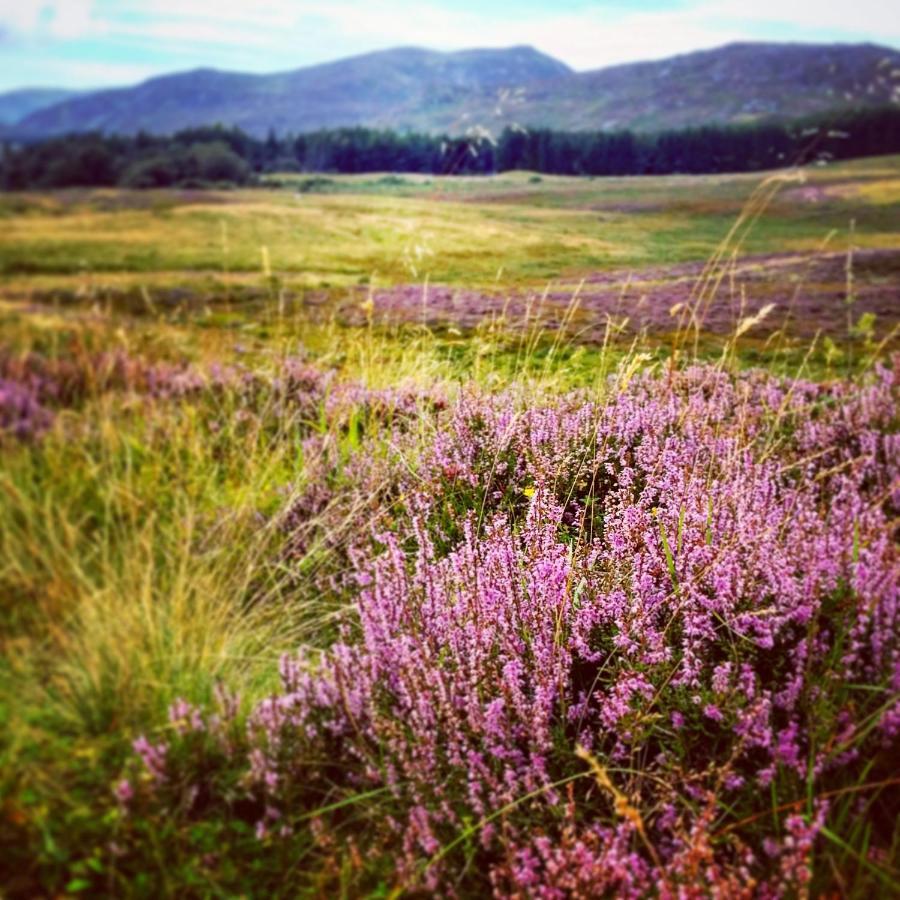 Caman House Apt 2 - By Where Stags Roar Newtonmore Bagian luar foto